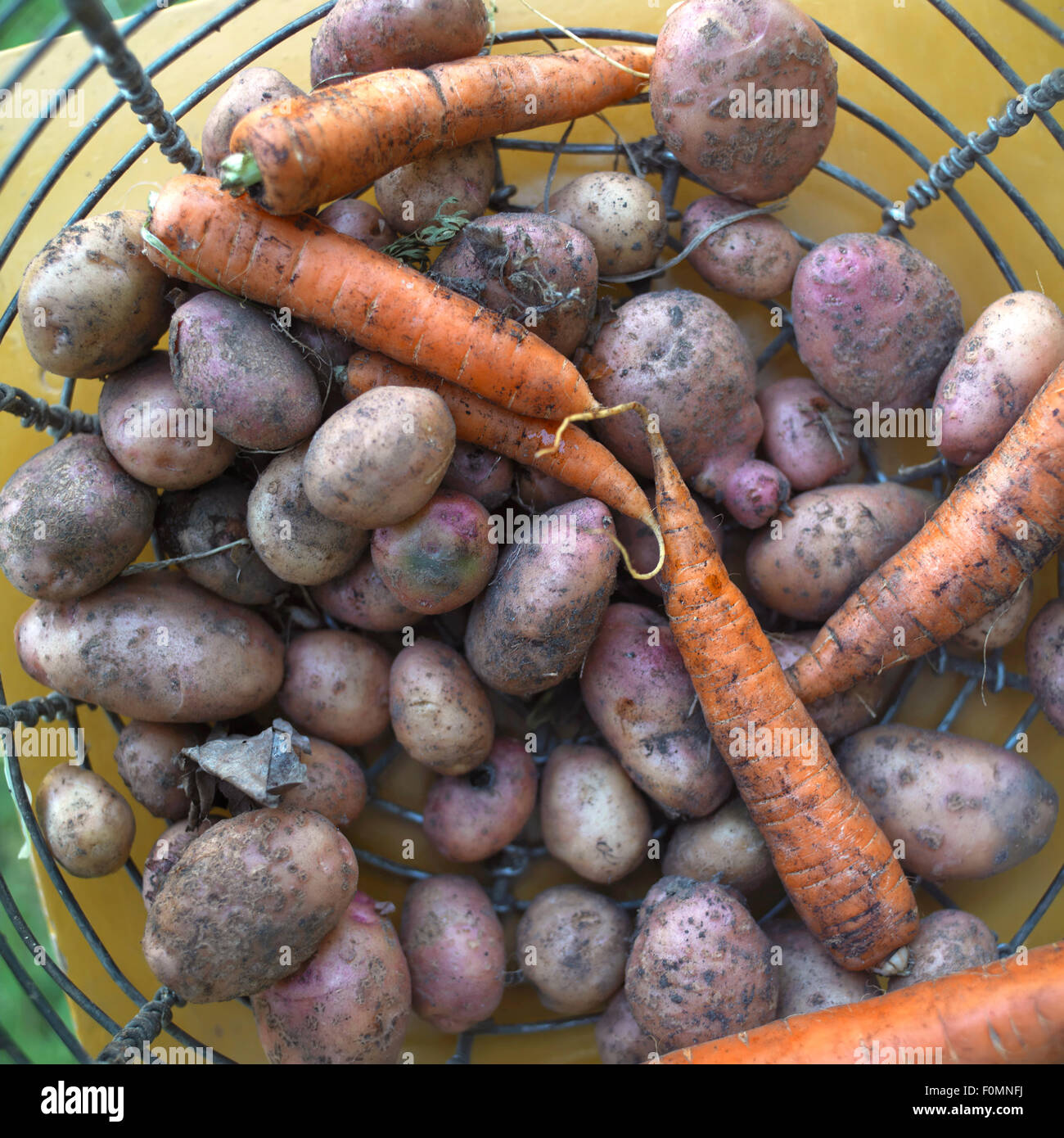 Potato And Carrot Stock Photo - Alamy