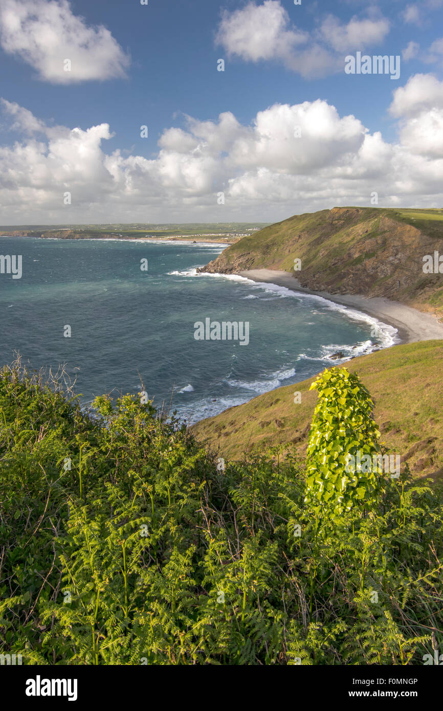 The Beautiful South West Coast Path.Taken at Millook Haven in North Cornwall, England, UK. Stock Photo
