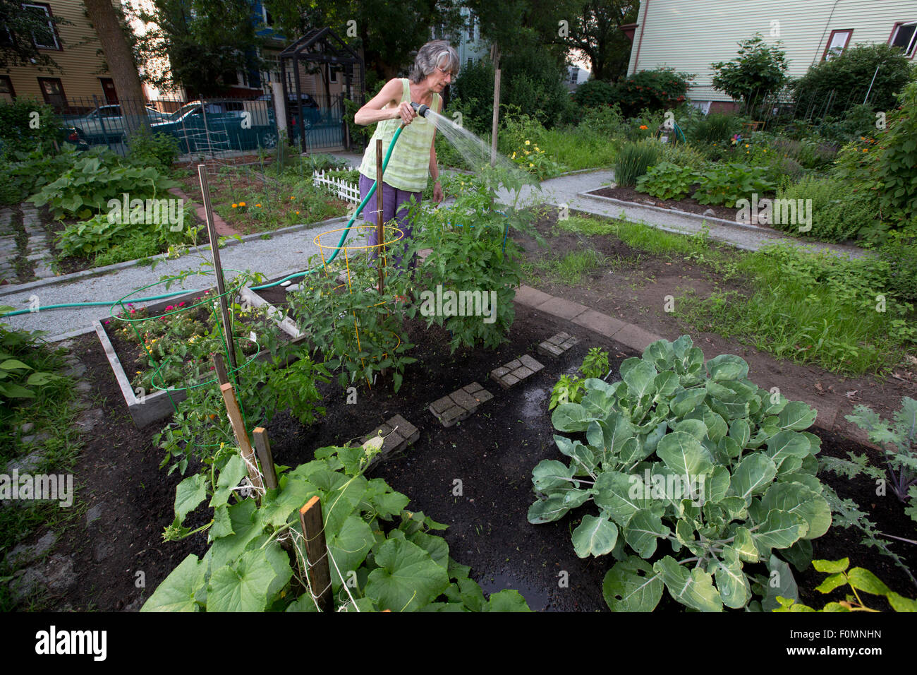 Woman watering urban garden plot Stock Photo