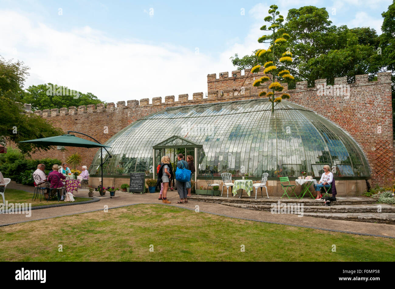 Italianate greenhouse in George VI Park, Ramsgate where part of roof temporarily removed to accommodate flowering Agave plant. Stock Photo