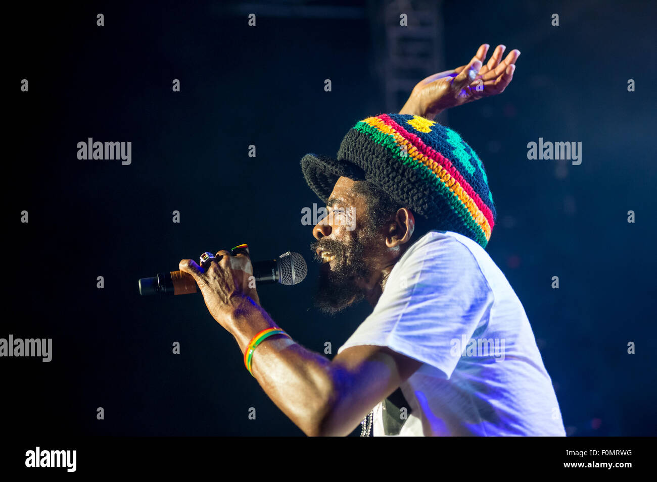 Coco Tea Artist Montreal International Reggae Festival High Resolution Stock ...