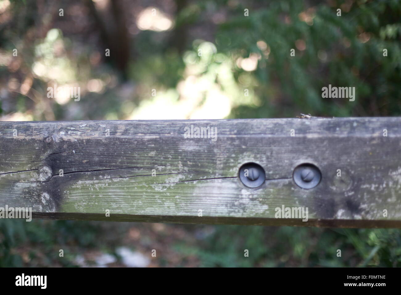 Fence with blurred background in a forest Stock Photo - Alamy