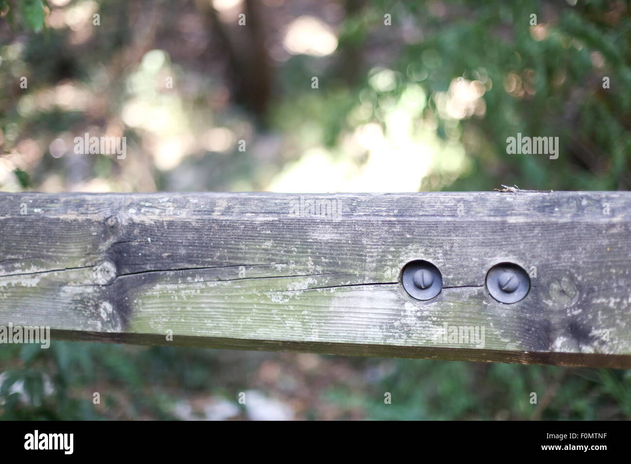 Fence with blurred background in a forest Stock Photo - Alamy
