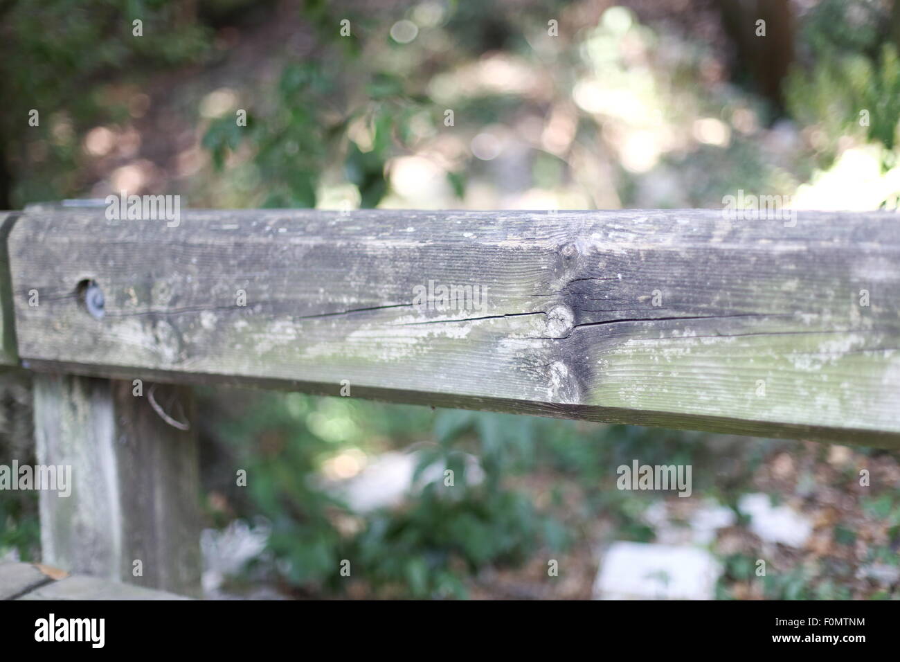 Fence with blurred background in a forest Stock Photo - Alamy