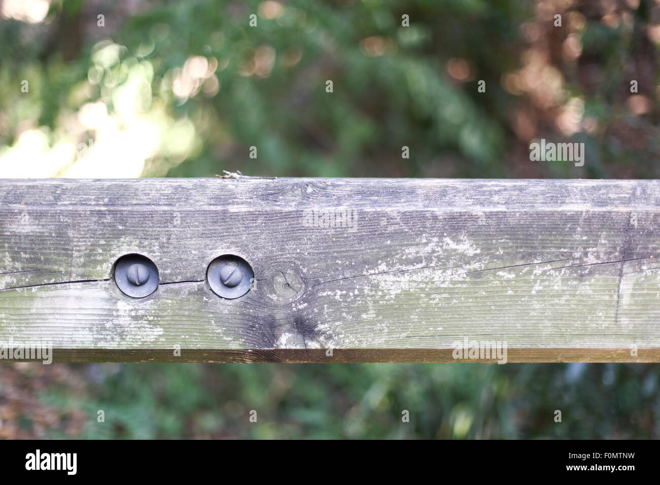 Fence with blurred background in a forest Stock Photo - Alamy