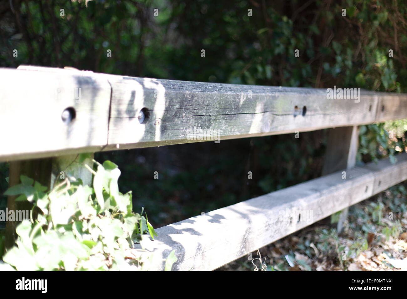 Fence with blurred background in a forest Stock Photo - Alamy