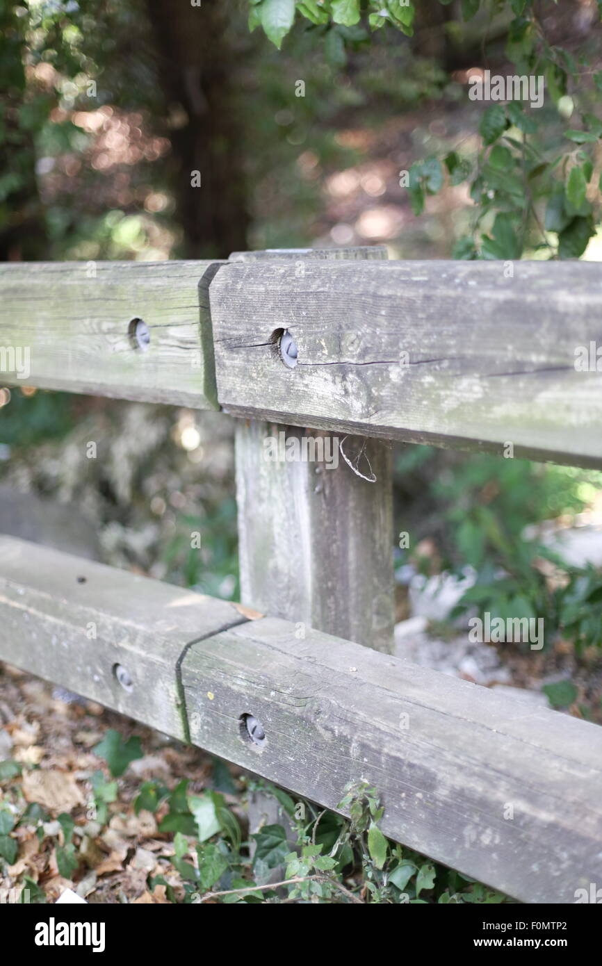 Fence with blurred background in a forest Stock Photo - Alamy