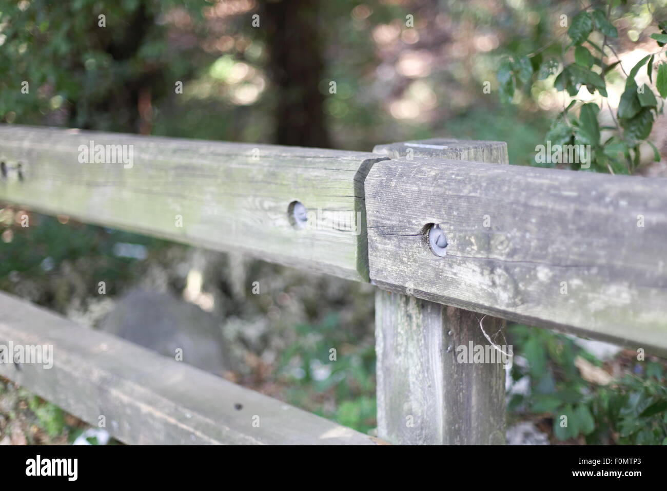 Fence with blurred background in a forest Stock Photo - Alamy
