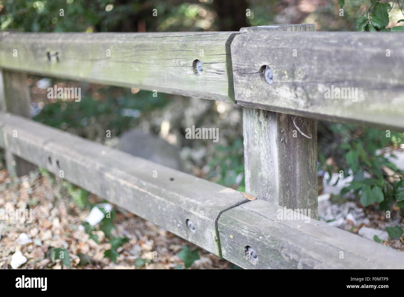Fence with blurred background in a forest Stock Photo - Alamy