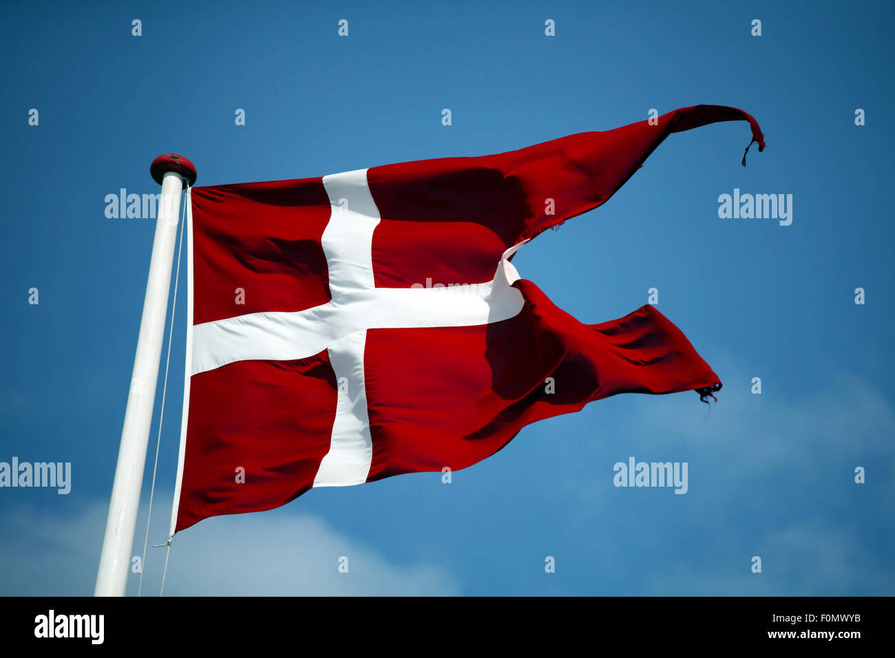Swallowtail Dannebrog waving. The royal Danish Flag. Denmark. Stock Photo