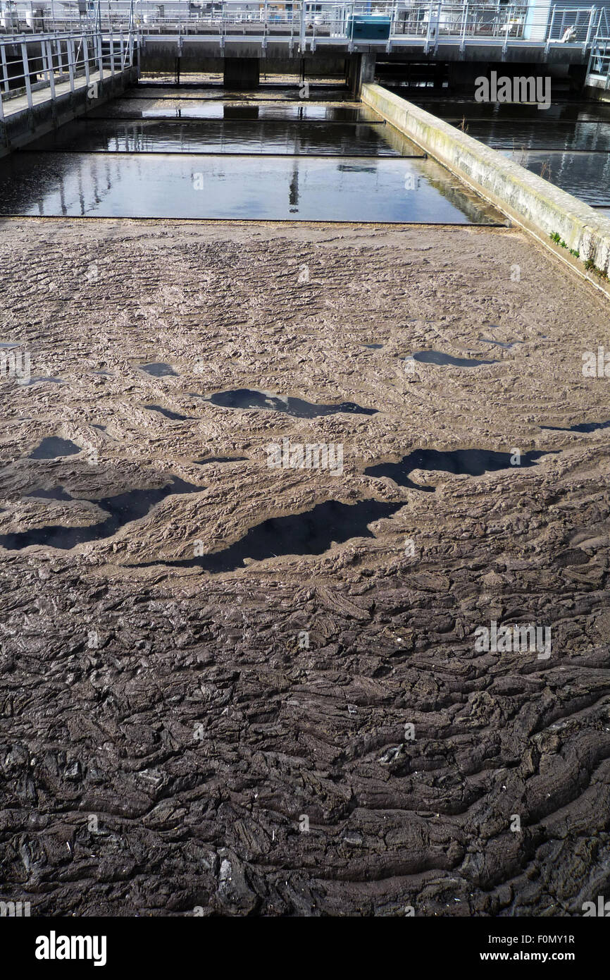 Waste Water Treatment ponds. Disgusting, however efficient Stock Photo