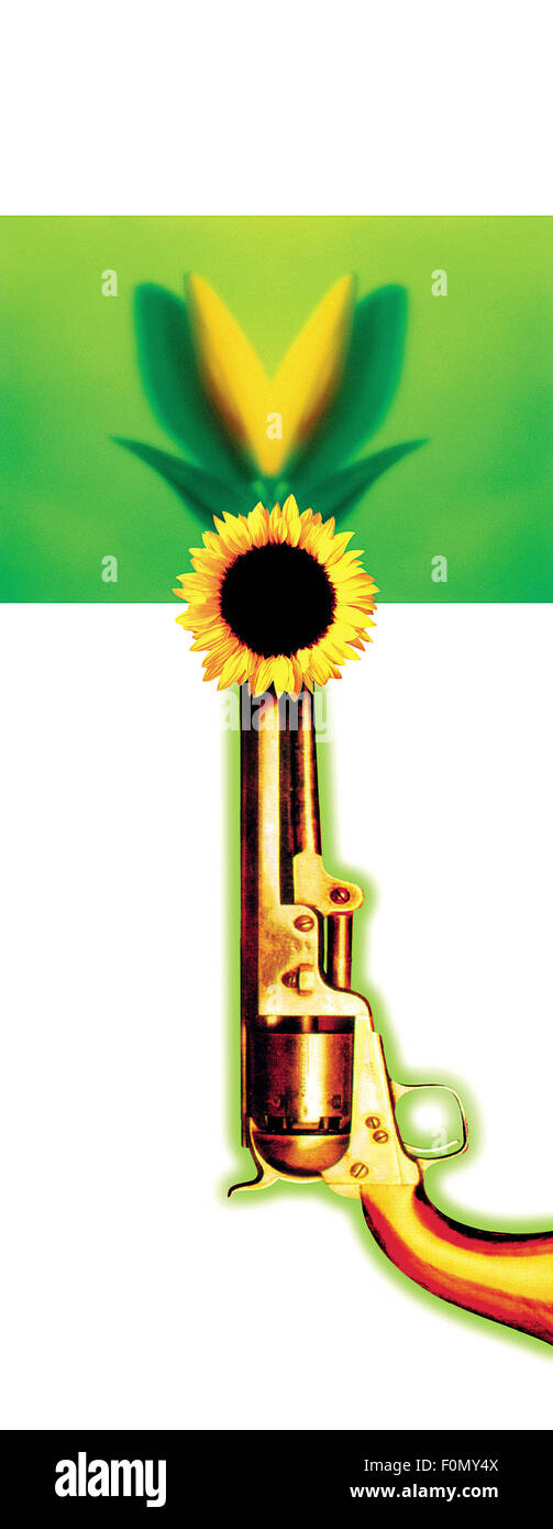illustration of Gun with Sun flower in the Barrel with white background Stock Photo