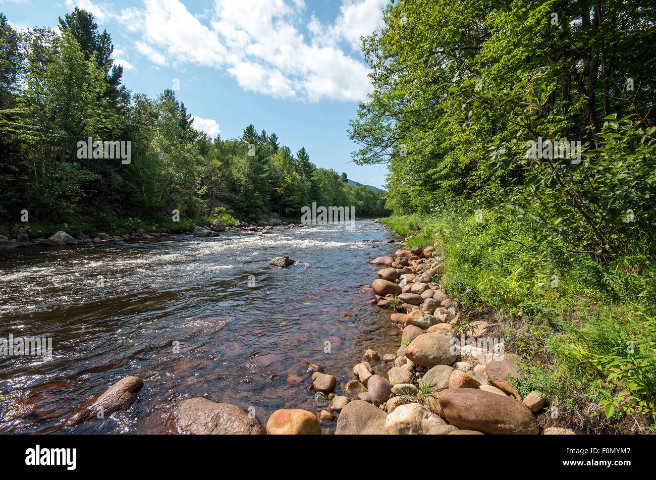 AuSable River on the Wilmington Flume Trail Stock Photo - Alamy