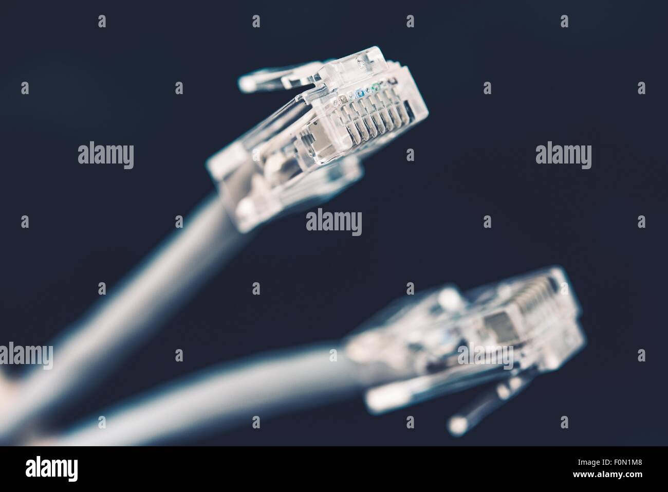 Network Cable Plugs Closeup Photo. Computer Networking Cables Stock