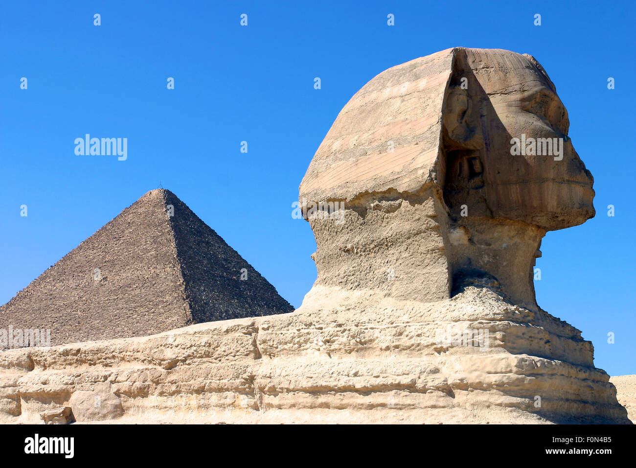 Egyptian sphynx cat hires stock photography and images Alamy
