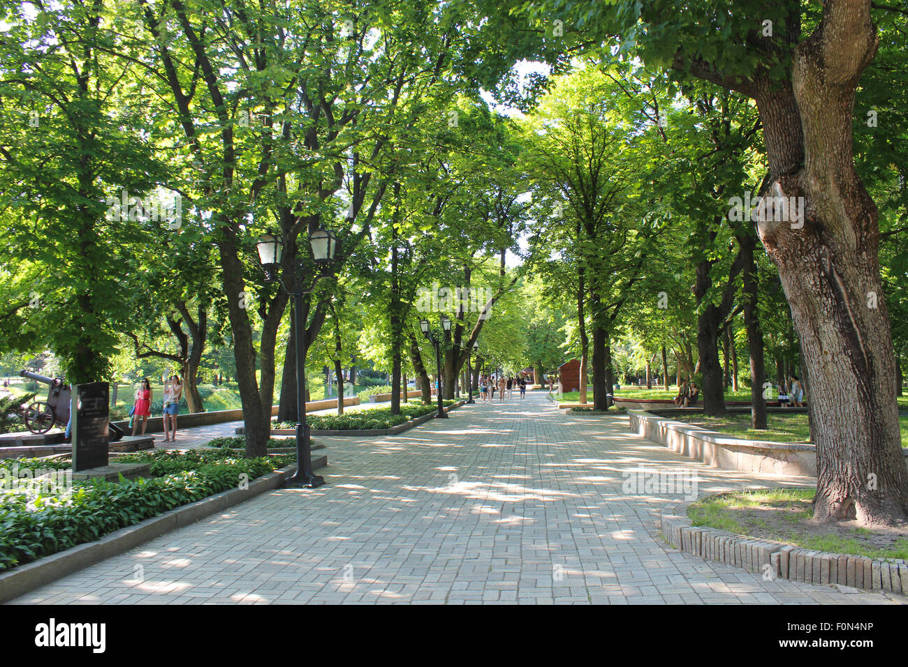Beautiful city park with path and green trees Stock Photo - Alamy