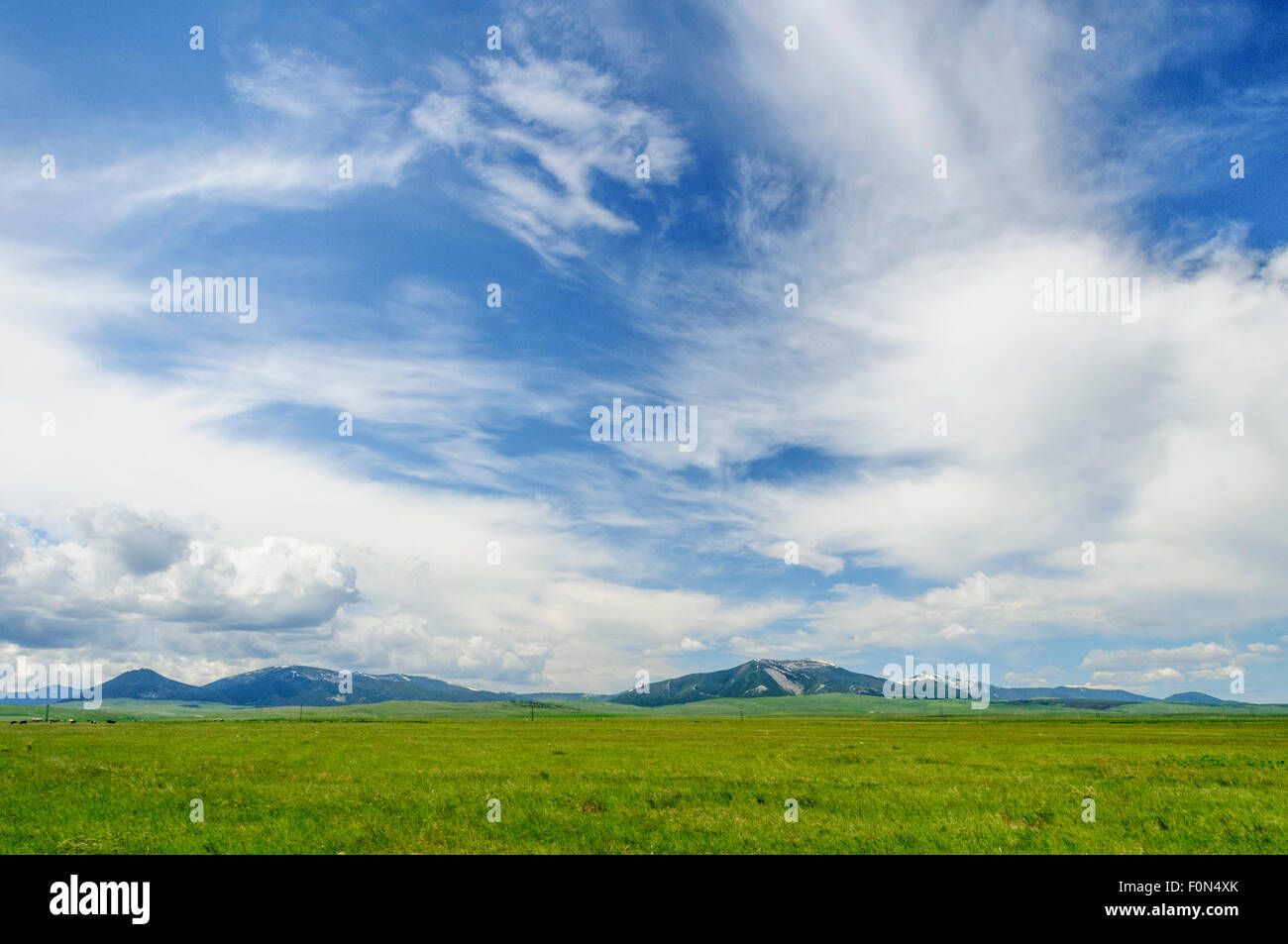 Ranch land and Little Belt Mountains from Highway 87, Judith Basin County, Central Montana. Stock Photo