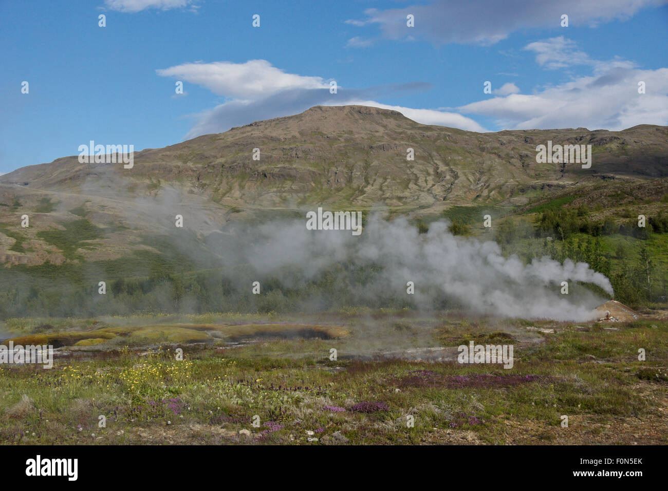 Geothermal area at Geysir, Iceland Stock Photo
