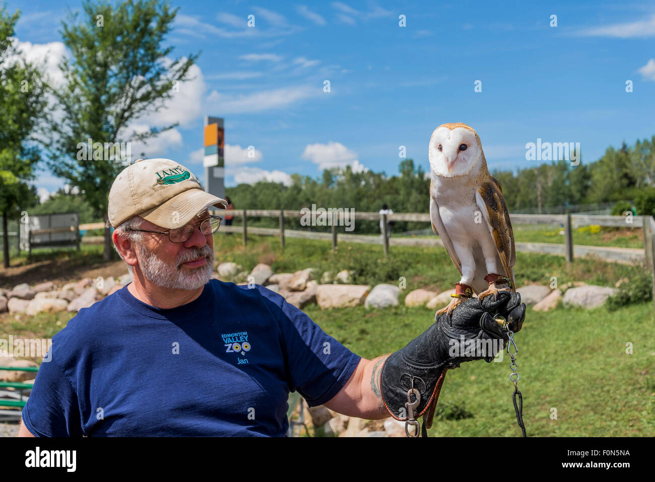 Barn owl interpretive talk, , Edmonton Valley Zoo, Edmonton, Alberta, Canada Stock Photo