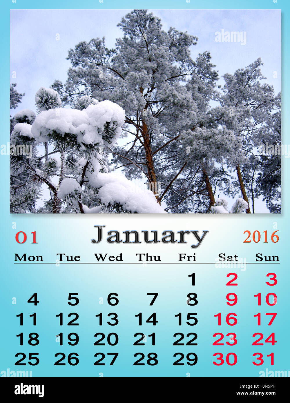 calendar for January 2016 with snowy pine branches Stock Photo