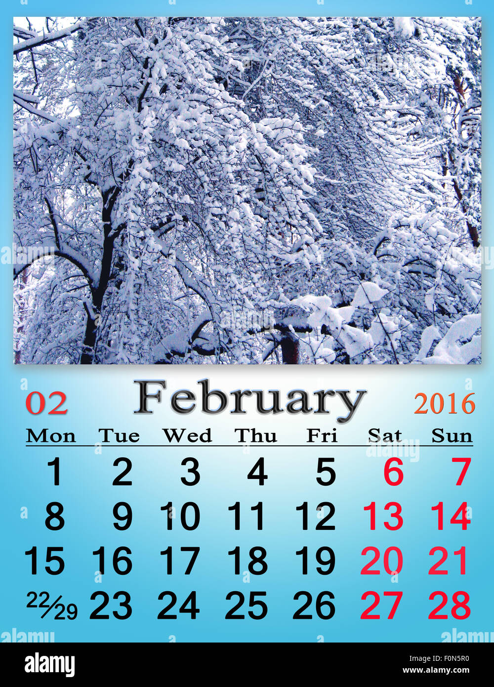 calendar for February 2016 with snowy branches of trees in the forest Stock Photo