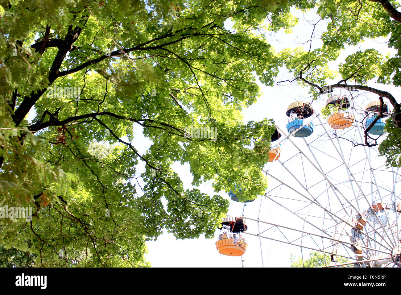 ferris wheel in the park with trees Stock Photo