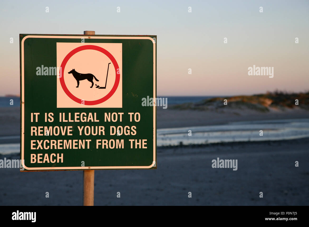 No dogs sign on the beach of Milnerton in Cape Town facing the Atlantic OCean early in the morning Stock Photo