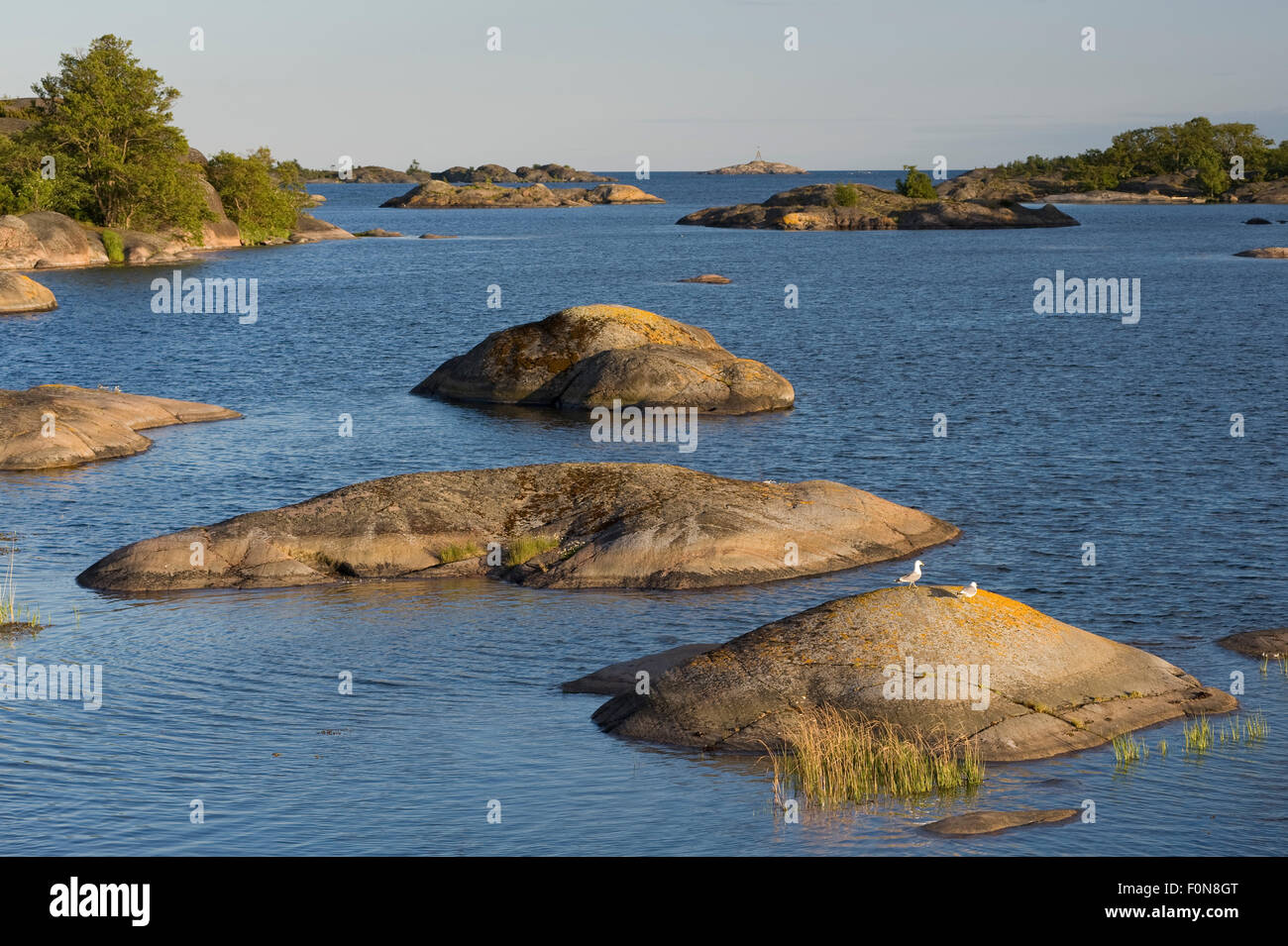 View of Långviksskär from Söderö island, Stockholm Archipelago, Sweden, June 2009 Stock Photo