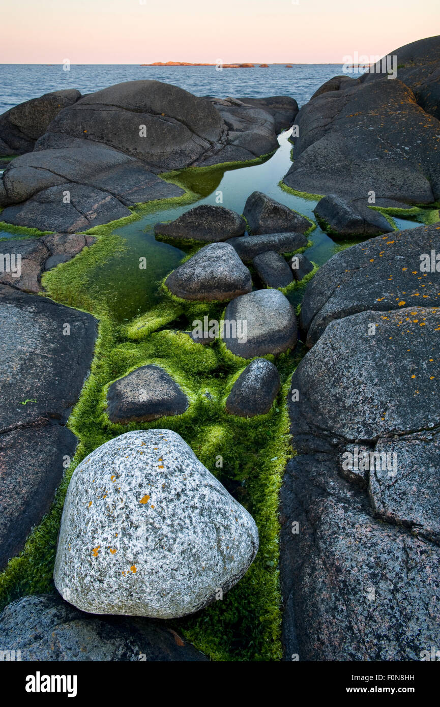Algae growing in rock pools on rocky coast, , Långviksskär, Stockholm Archipelago, Sweden, June 2009 Stock Photo