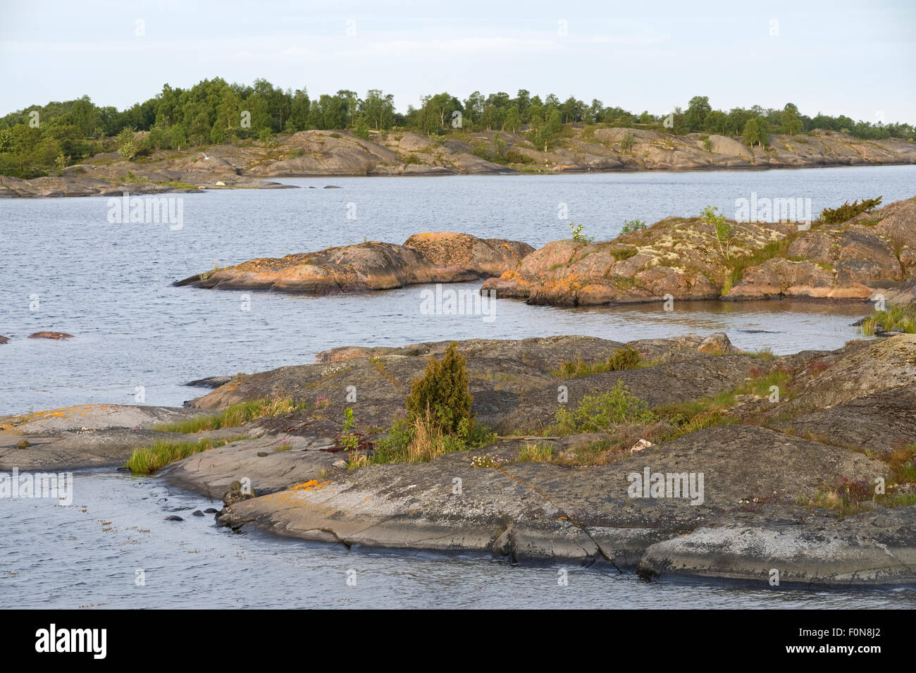 Rocky coastal landscape, Långviksskär, Stockholm Archipelago, Sweden, June 2009 Stock Photo