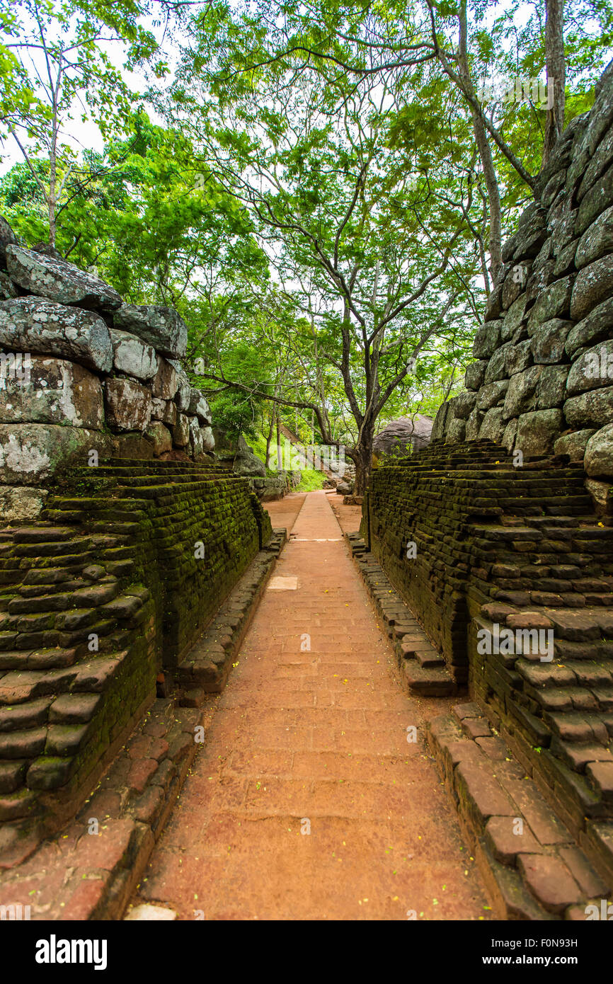 The ancient rock fortress of Yapahuwa is similar to, but smaller than,  Sigiriya. Dating from the 13th century, it was the capital and main  stronghold of King Bhuvanekabahu I (1272 - 1284)