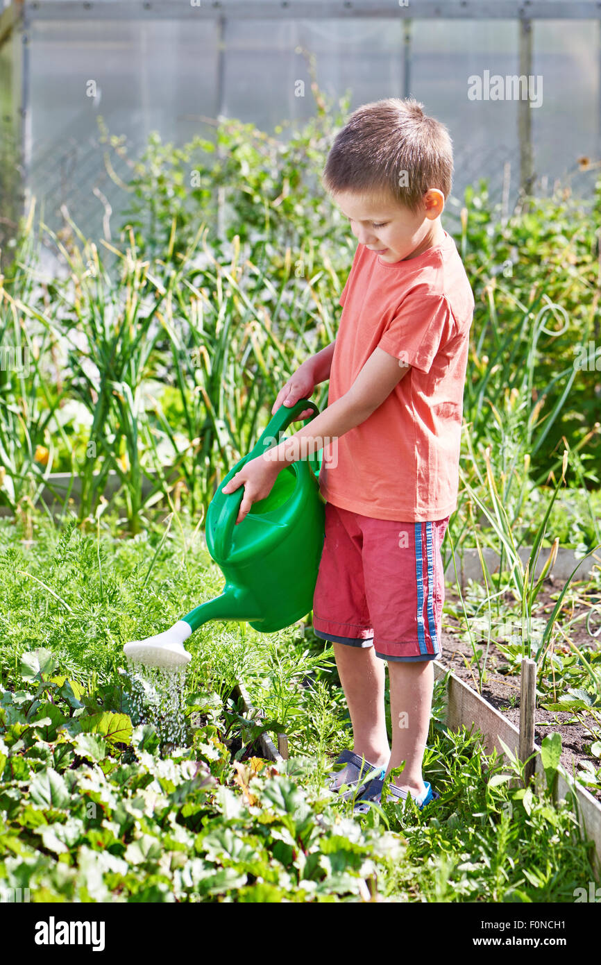 Little boy watering in the vegetable garden Stock Photo Alamy
