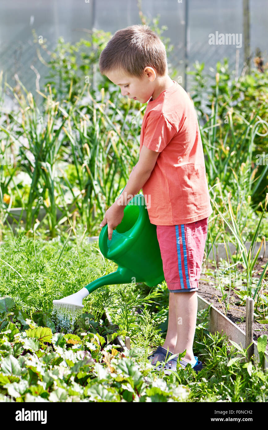Little boy watering in the vegetable garden Stock Photo Alamy