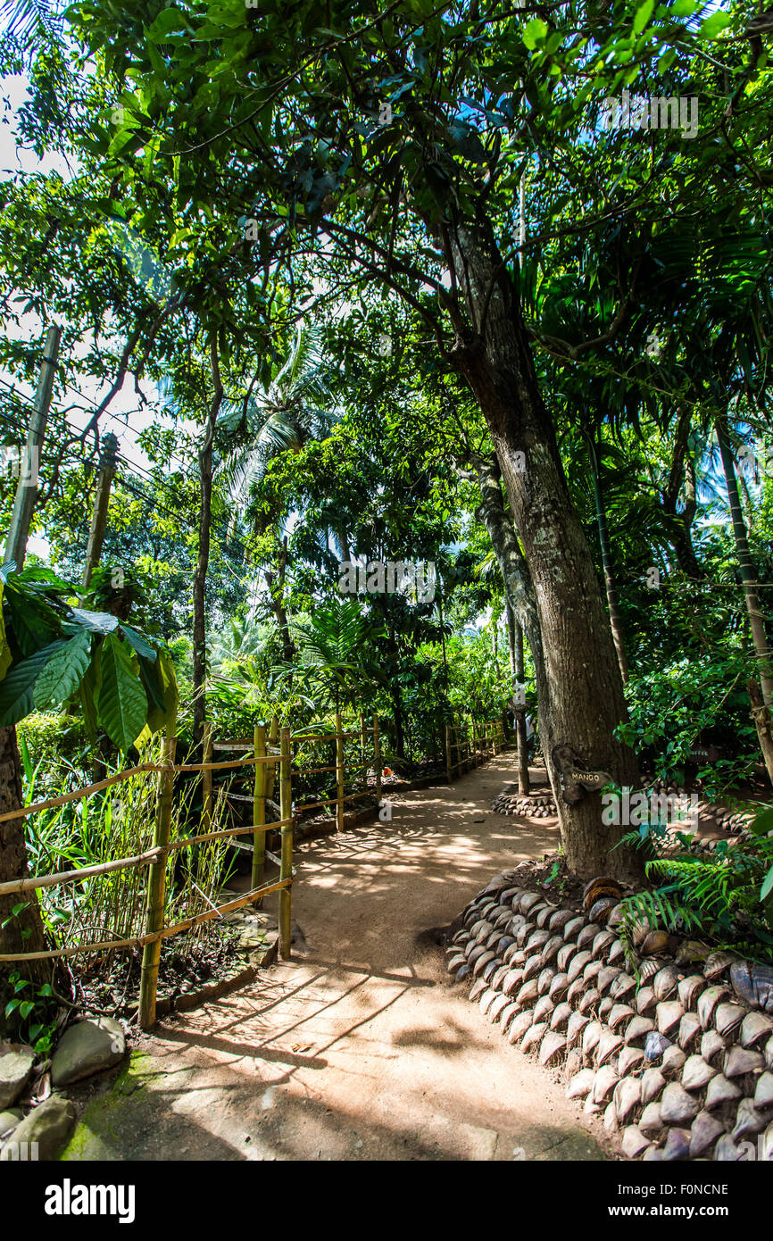 Sri lanka spice garden hires stock photography and images Alamy