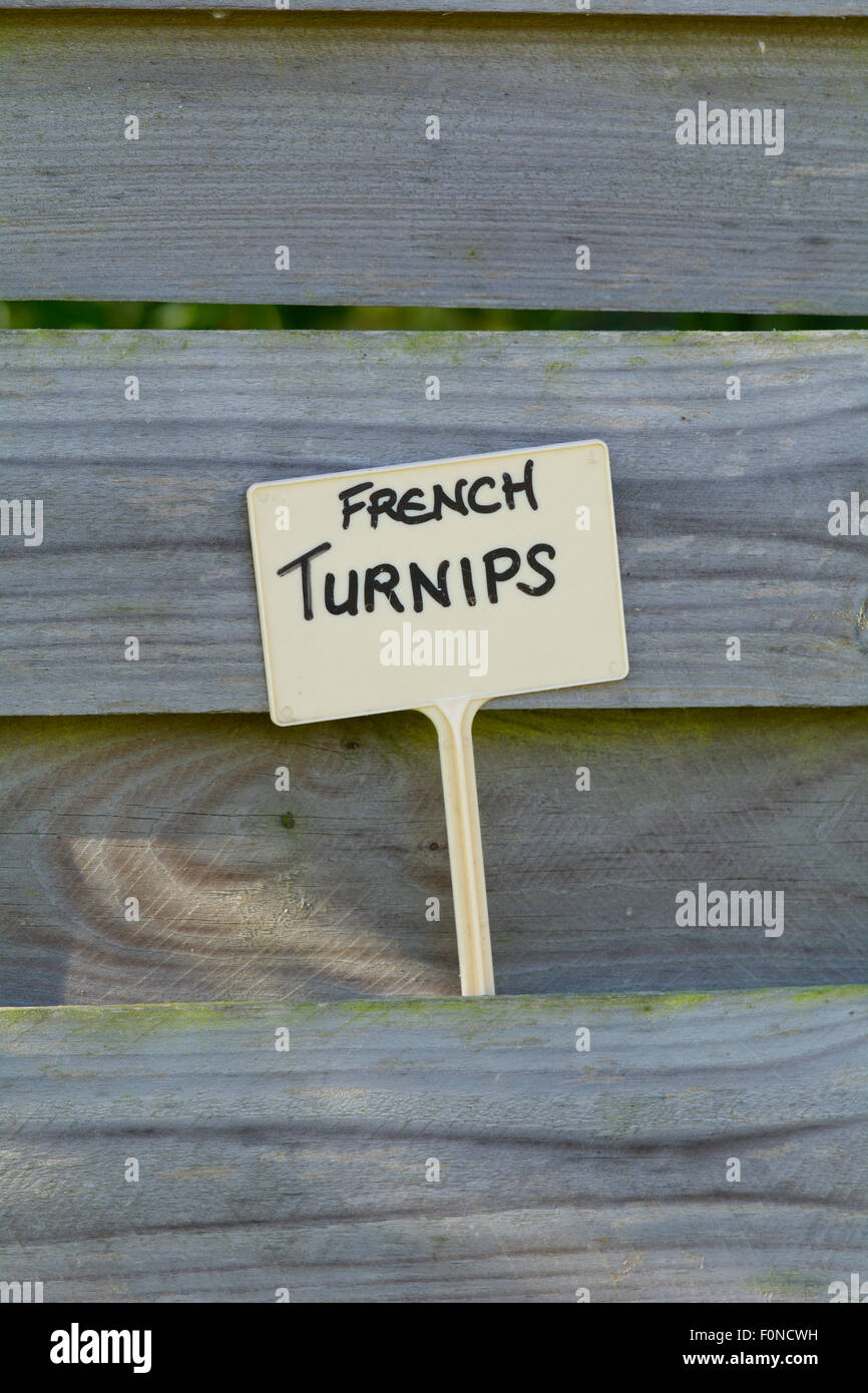 French Turnips label in fence panel of garden of home in Saint Thomas