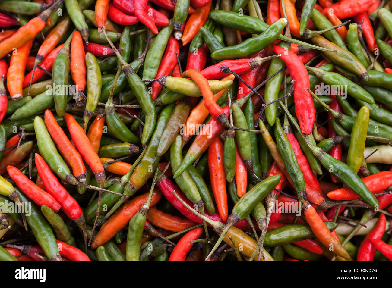 Chilis at a market, local market, Kyaing Tong, Shan State, Myanmar Stock Photo
