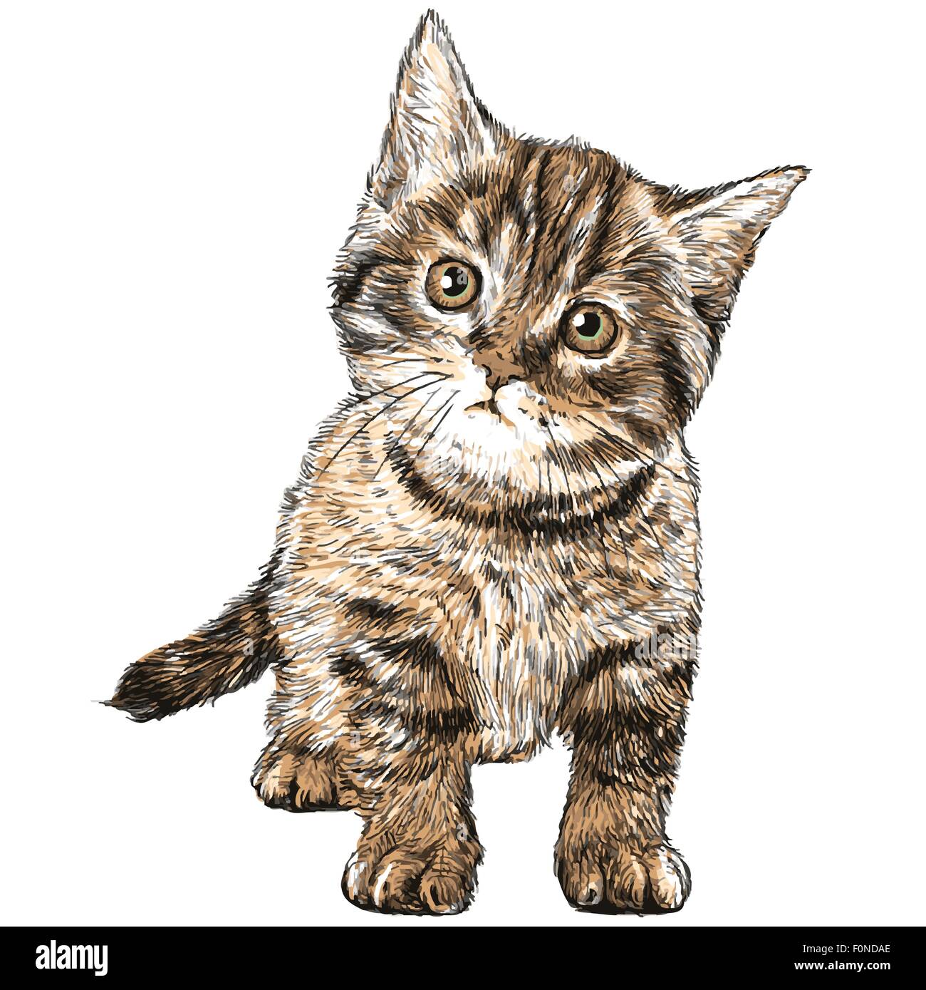 Little cat hand drawn isolated on white background Stock Vector Image ...
