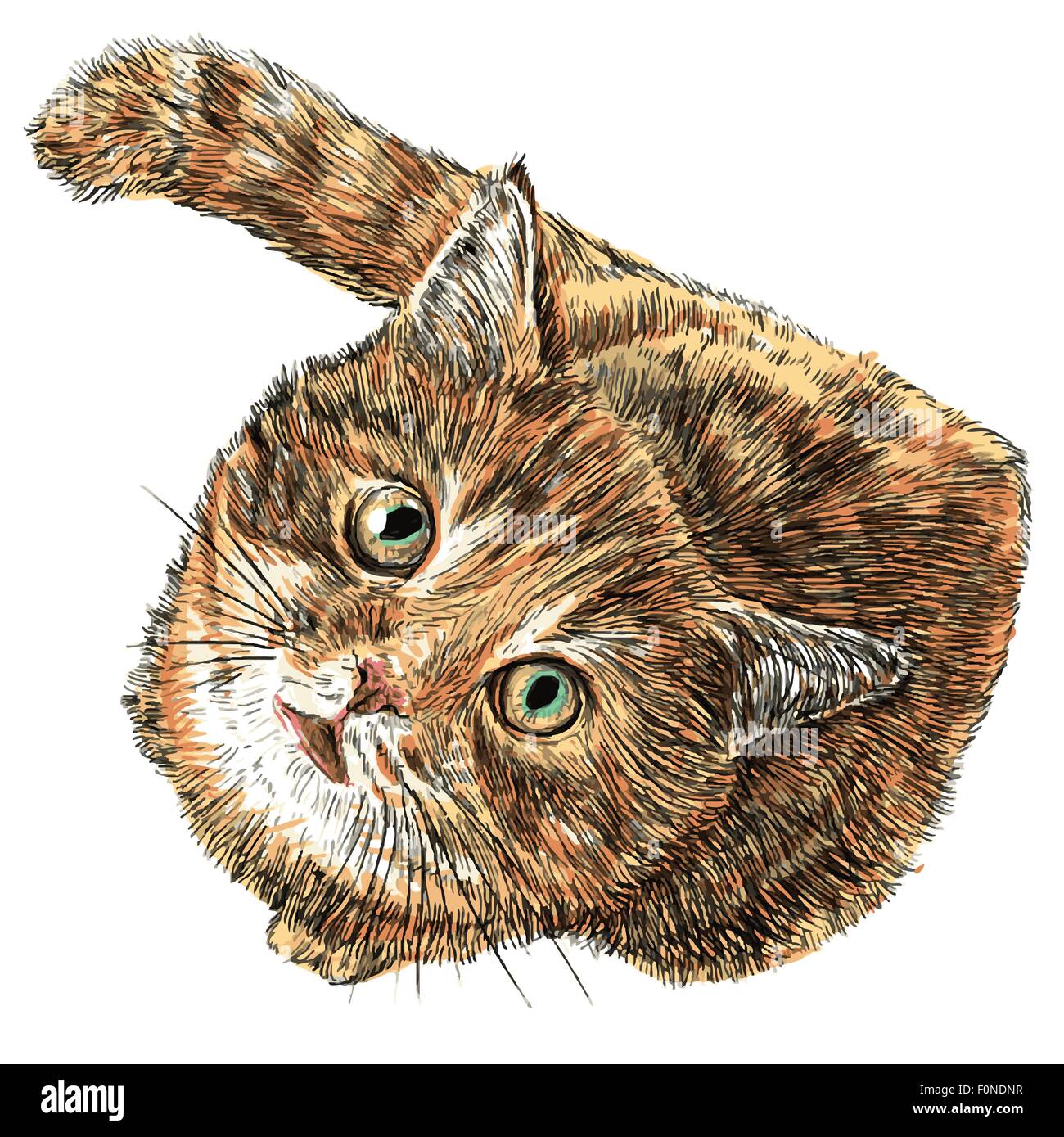 Little cat hand drawn isolated on white background Stock Vector Image ...
