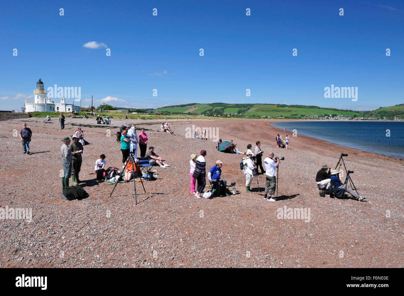 Visitors and local people gathering to watch Bottlenosed dolphins (Tursiops truncatus) on an incoming tide at Chanonry Point, Moray Firth, Nr Inverness, Scotland, May 2009 Stock Photo