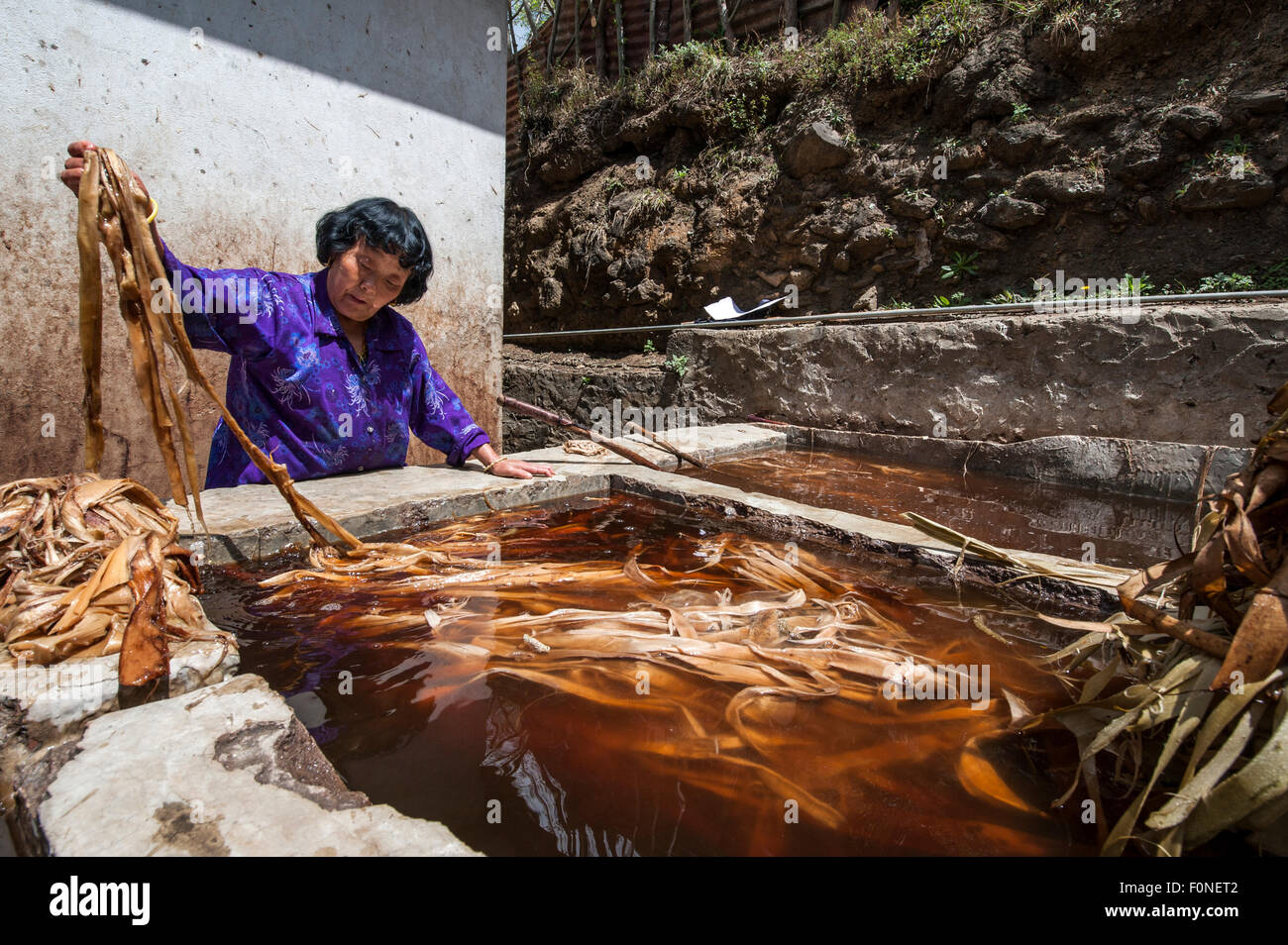 Woman working at paper making factory Thimpu (country capital) Bhutan Stock Photo