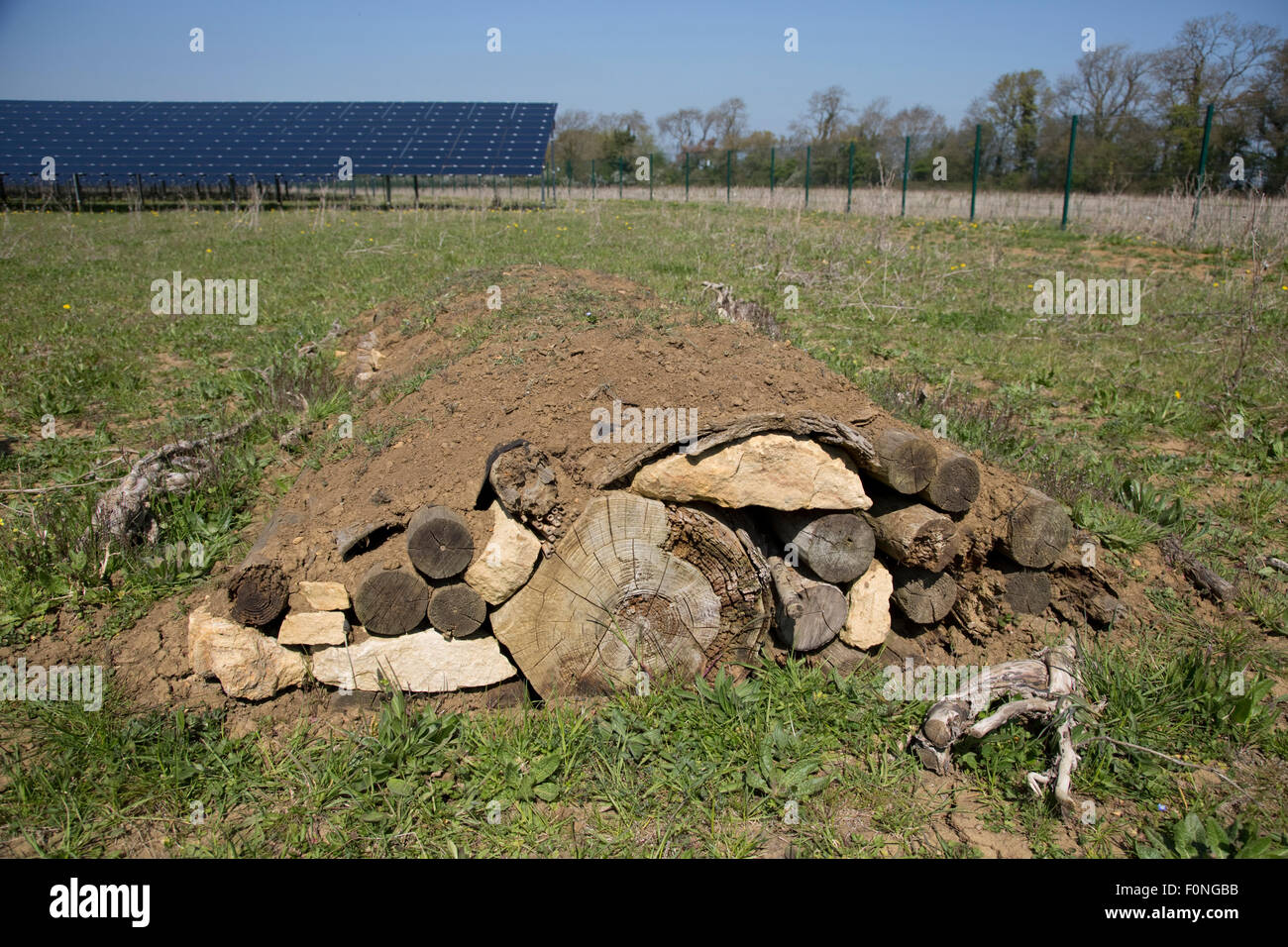 Hibernaculum artificial mound logs soil hires stock photography and
