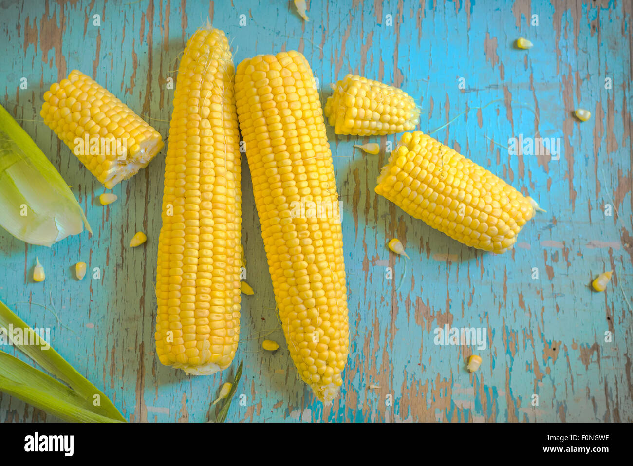 Freshly picked ear of corn, sweet maize cob with husk on rustic blue wood background, top view Stock Photo