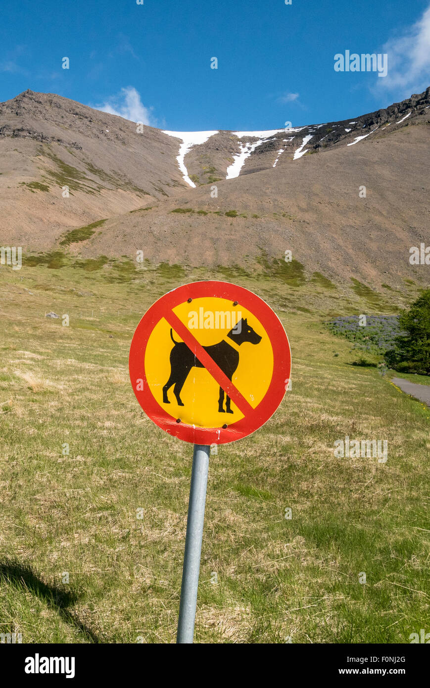 Dog restriction sign hires stock photography and images Alamy