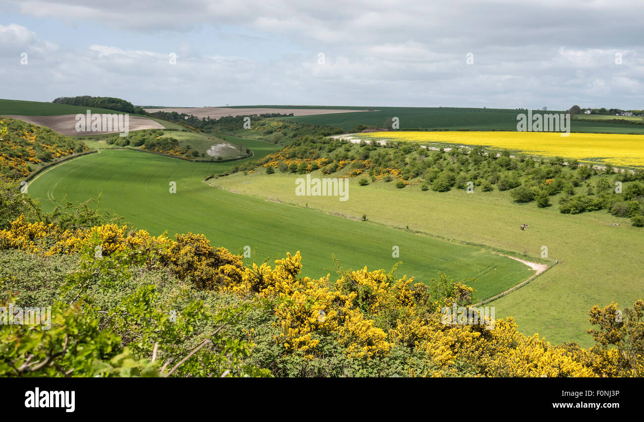 Dry Valley near Fordon on the Yorkshire Wolds UK Stock Photo