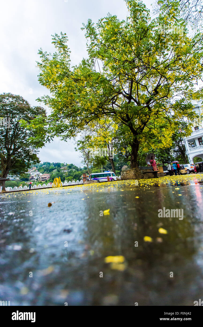 Sri Lanka Dalada Maligawa Stock Photo - Alamy