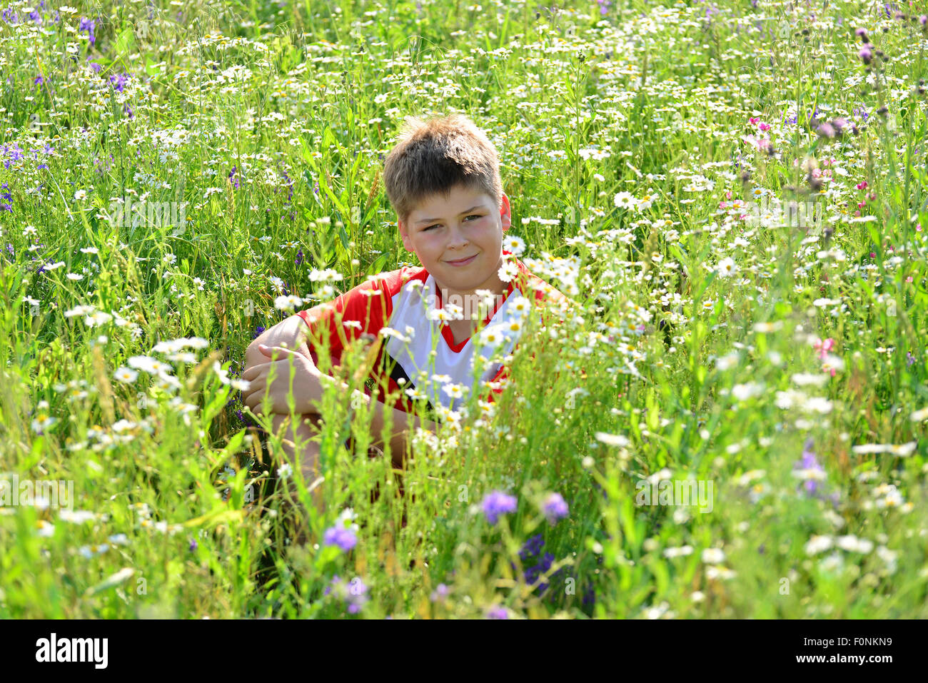 Teen boy sitting among meadow flowers insummer Stock Photo