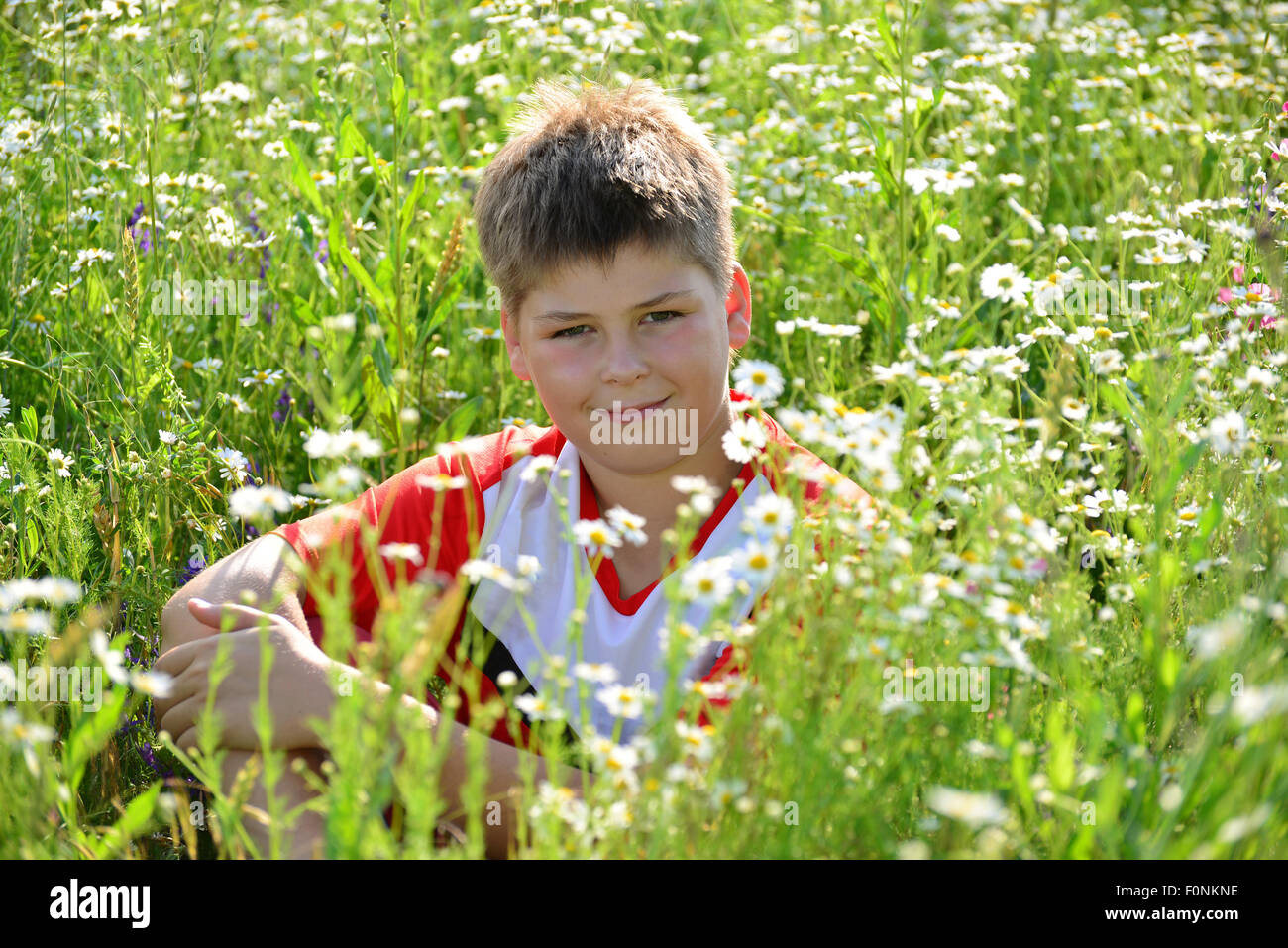 Teen boy sitting among meadow flowers insummer Stock Photo