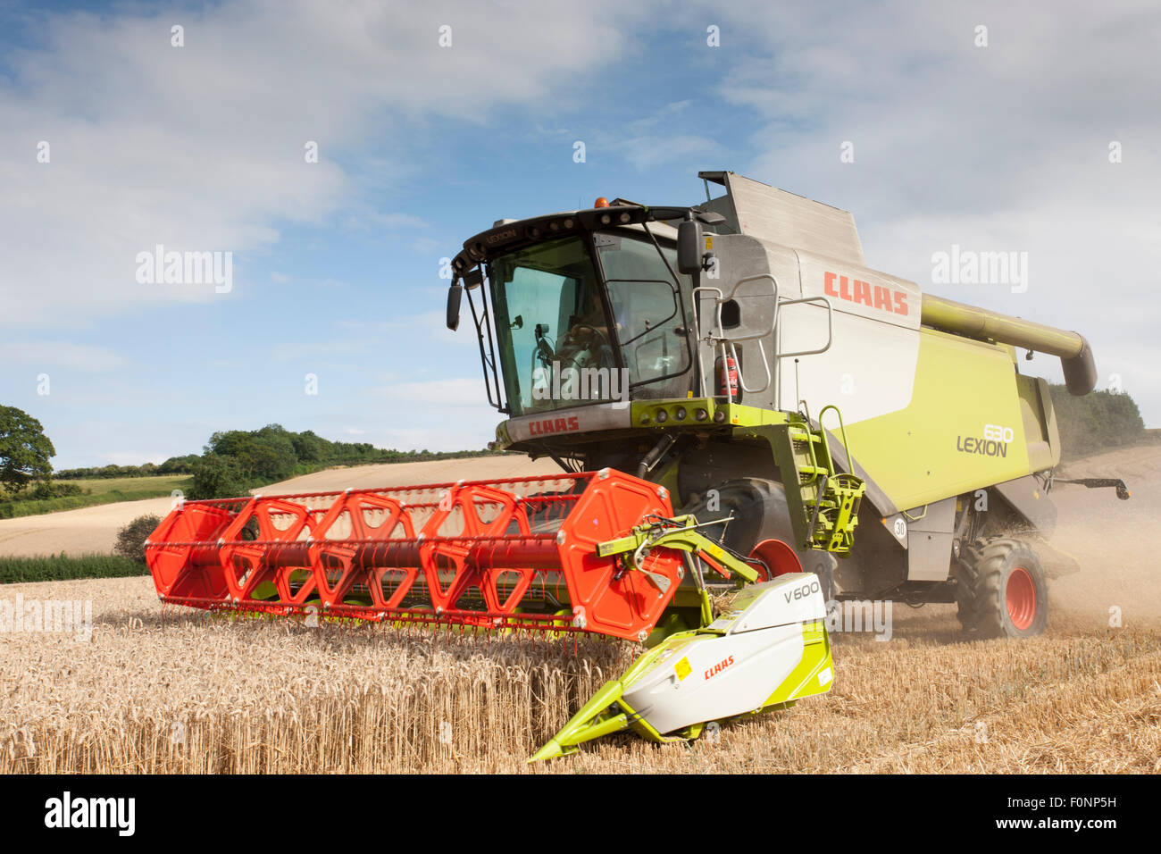 A combine harvester cutting the wheat. Stock Photo