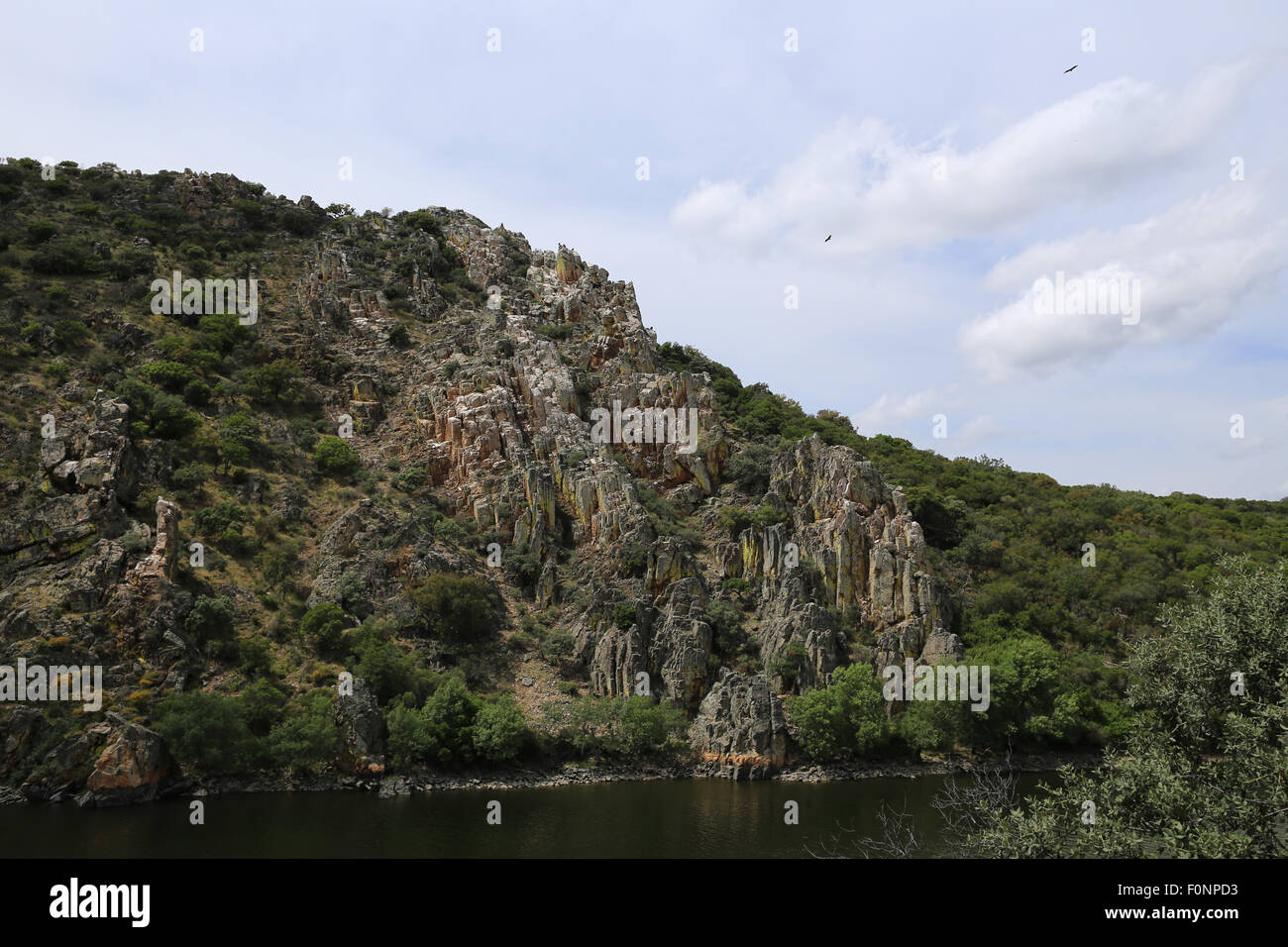 Portilla del Tietar, viewpoint for vultures in the Monfrague National Park, Extremadura, Spain Stock Photo