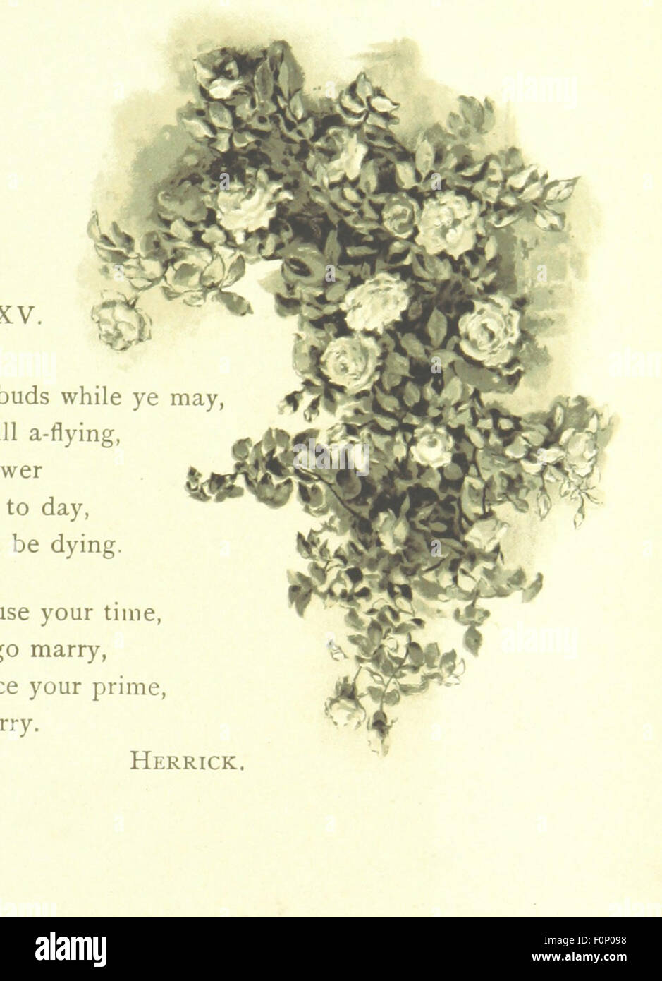 Image from page 31 of 'Spring (Summer-Autumn-Winter)', a collection of ...